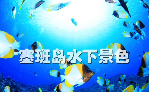 塞班岛旅游 塞班岛旅游