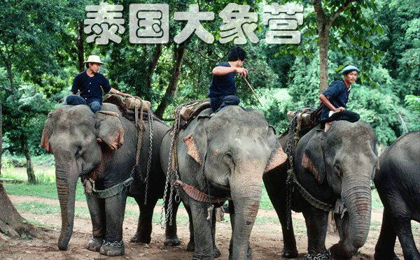 泰国旅游 泰国旅游